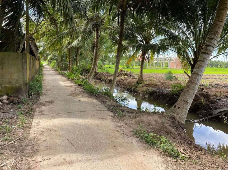 Đất nền Tiểu Cần 998m² giá 624 triệu - Pháp lý rõ ràng!