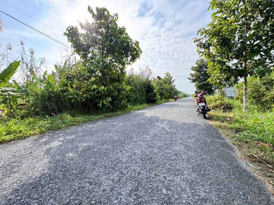 Đất Ngãi Tứ Tam Bình 1.859m² 2.7 tỷ - Tiềm năng tăng giá