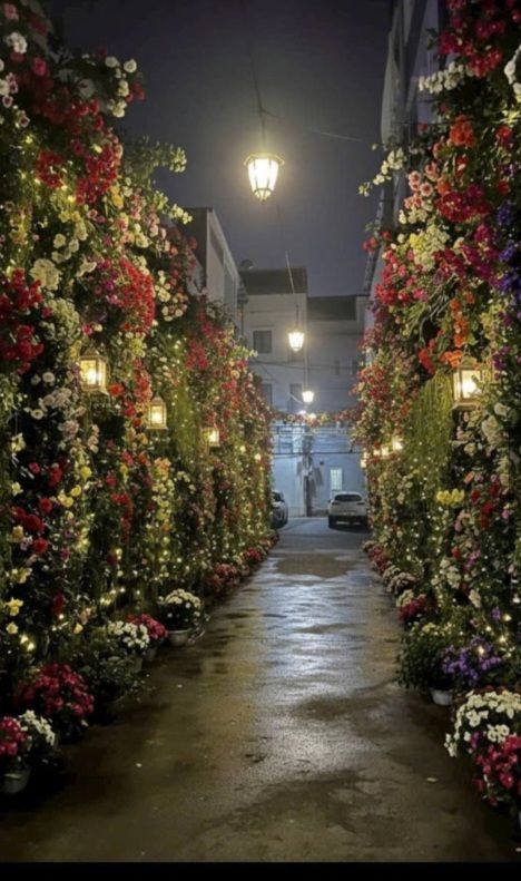 Đất Tặng Nhà Mặt Tiền 6.1m An Thượng - Dòng Tiền 10 Triệu/Tháng