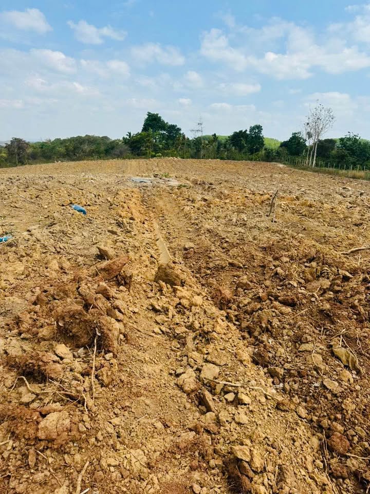 Đất Vườn Ea Lai, M'Đrắk 6ha giá 21.667 tỷ - Cơ hội đầu tư dài hạn!