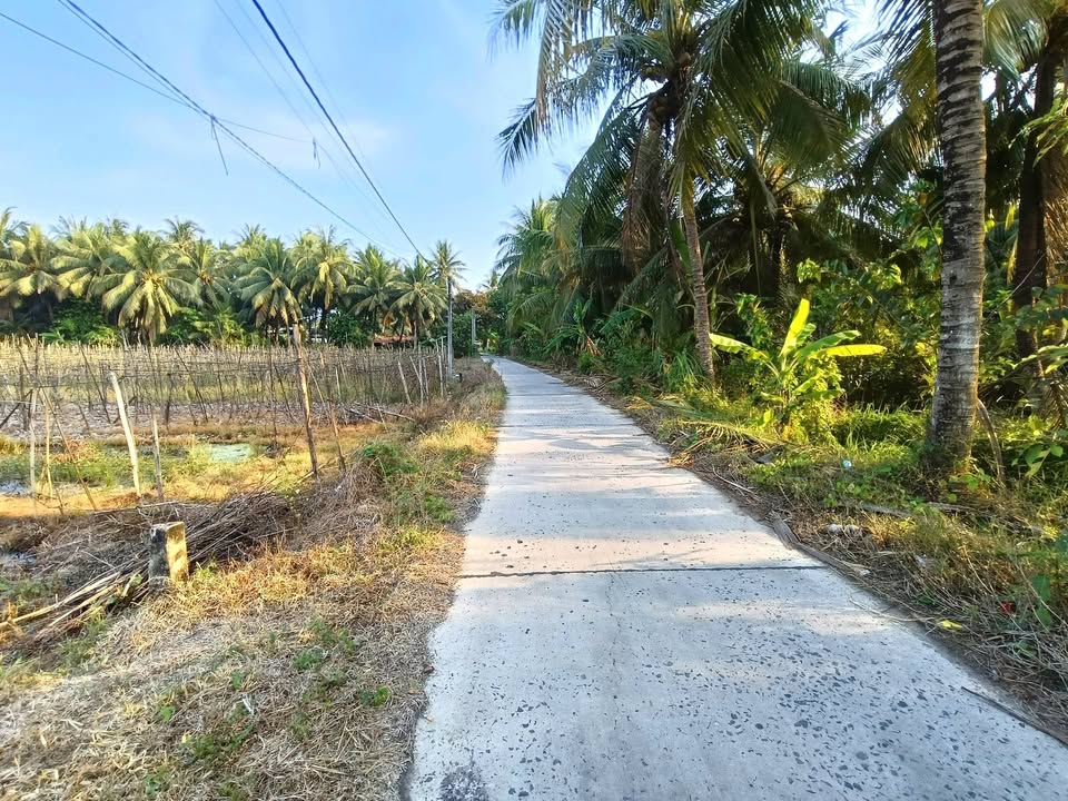 Đất vườn Ấp Bình Trung Gò Công Tây 400m² 550 triệu - Sổ đỏ chính chủ!