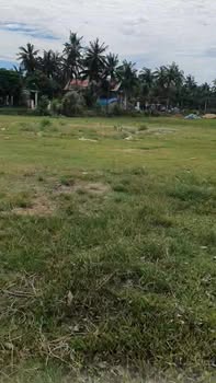 Bán đất thổ cư 186m² mặt tiền đường lộ Mỹ Trinh, Phù Mỹ - Giá 7xx triệu