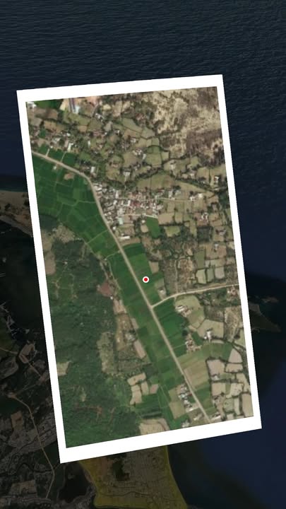 Đất nền Xã Cát Thành, Phù Cát 320m² - Tiềm năng tăng giá vượt trội!