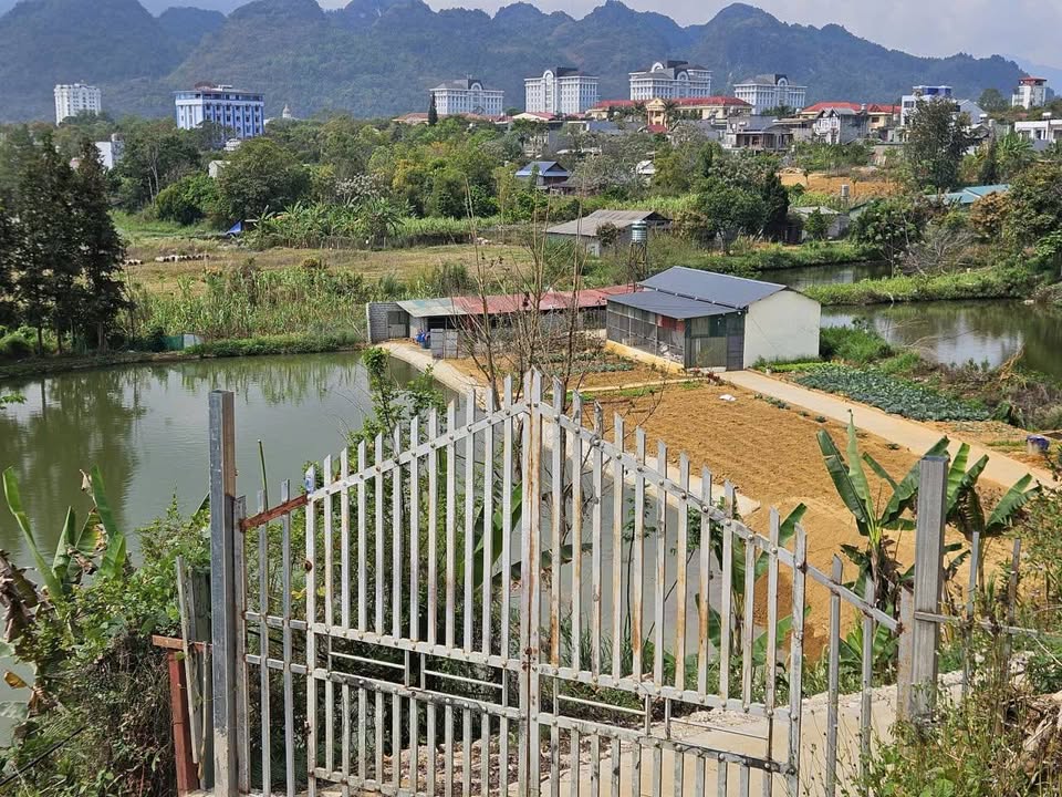 Bán gấp trang trại 4265m² tại Lai Châu - Sẵn sàng kinh doanh vườn ao chuồng
