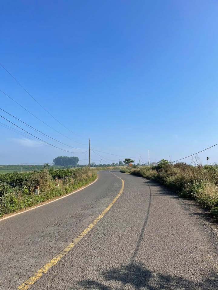 Đất nền Tân Hội Đức Trọng 2890m² - Tiềm năng tăng giá vượt trội!