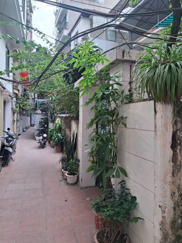 Đất Vàng 130m² Vĩnh Phúc, Ba Đình - 22.5 Tỷ, Sẵn Sàng Xây CCMN