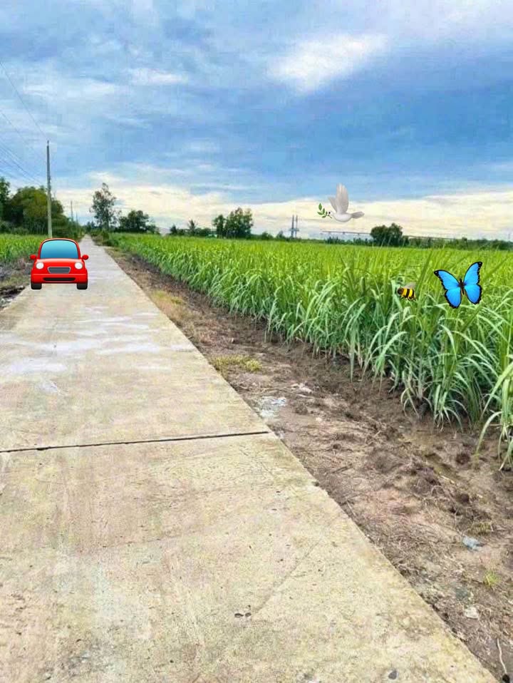 Đất nền Phước Khánh Nhơn Trạch 1000m² giá 1.75 tỷ - Sổ đỏ chính chủ!