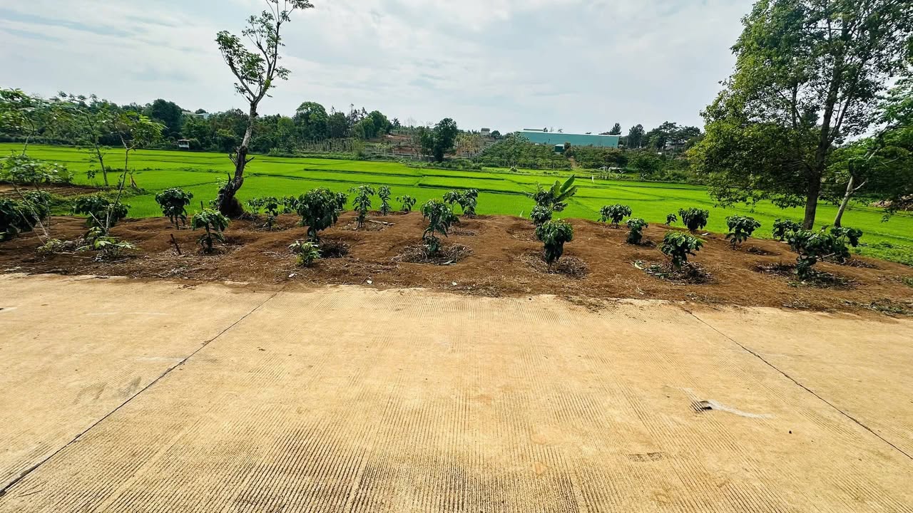 Đất nền Pleiku 136m² giá từ 5xx triệu - Sổ đỏ chính chủ!