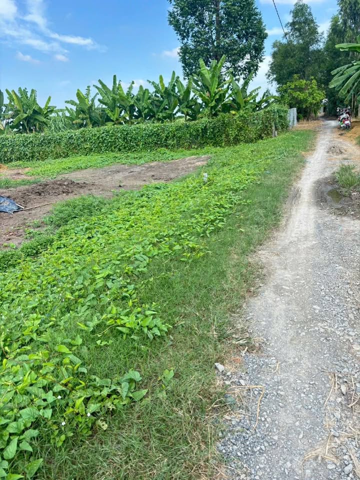 Bán Đất Củ Chi 180m² - Sổ Hồng Riêng, Xây Nhà Ngay