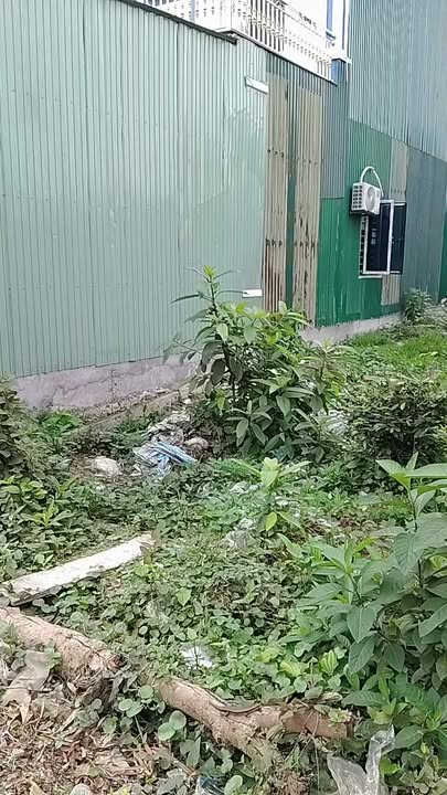 Đất Vàng Nam Đàn, Nghệ An - 164m² Mặt Tiền Kinh Doanh