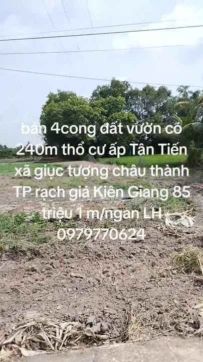 Đất vườn Châu Thành Kiên Giang 4000m² – Đường to ô tô tới đất!