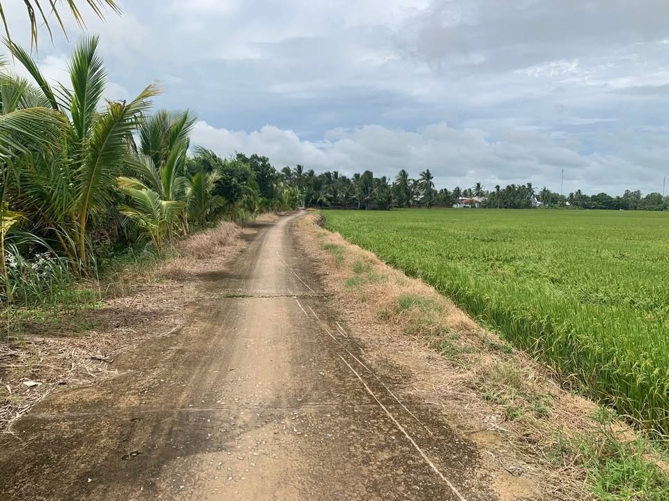 Bán đất nền Rạch Giá 300m² giá 2xx triệu - Sổ thổ cư, ô tô tới đất