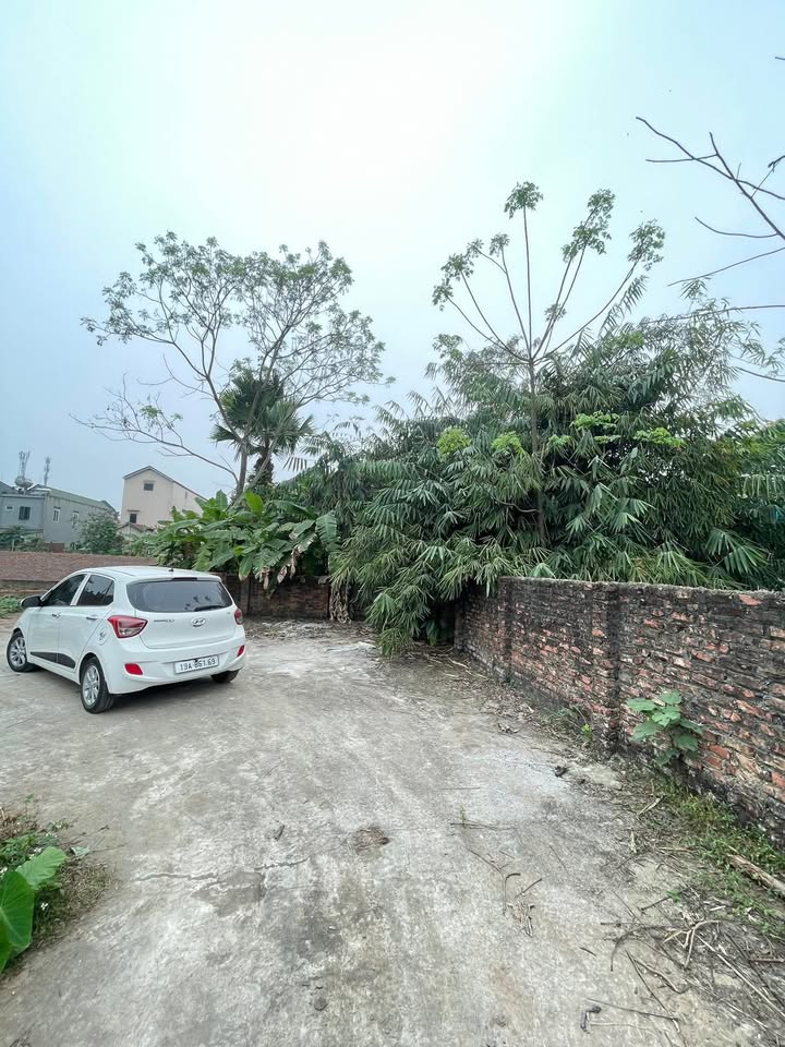 Đất Vàng Việt Trì - 80m² Sổ Đỏ Chính Chủ, Ô Tô Vào Tận Nơi