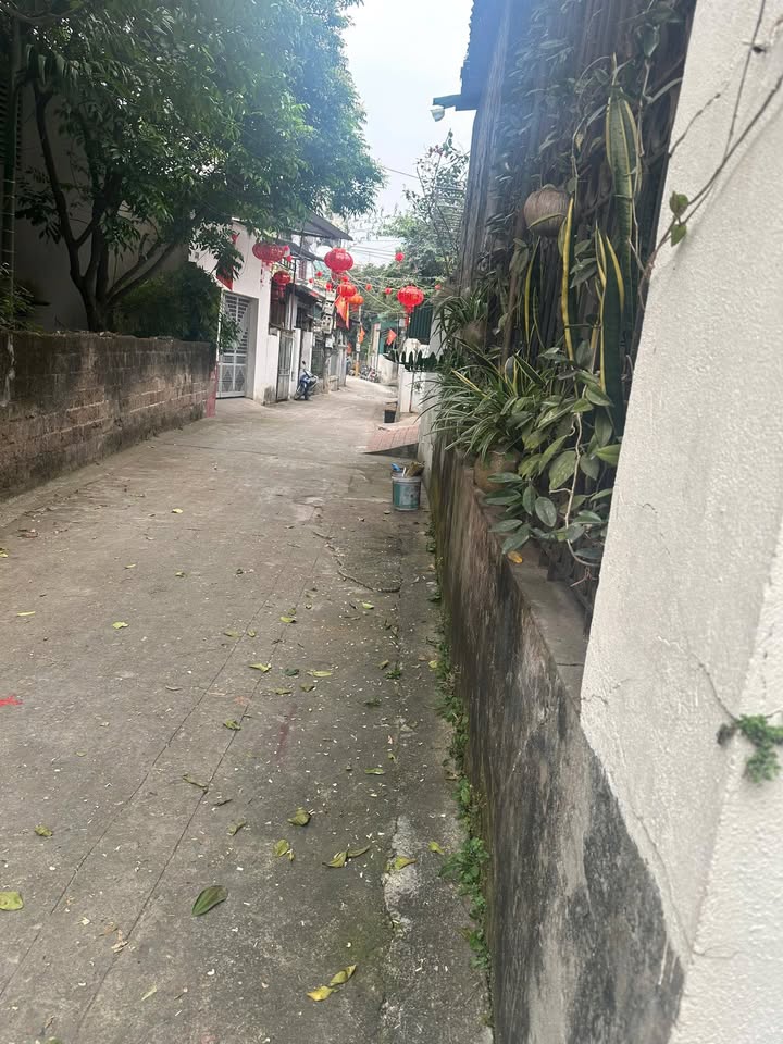 Đất nền 145.5m² hai mặt tiền Phường Nông Trang, Việt Trì - Giá 4.3 tỷ