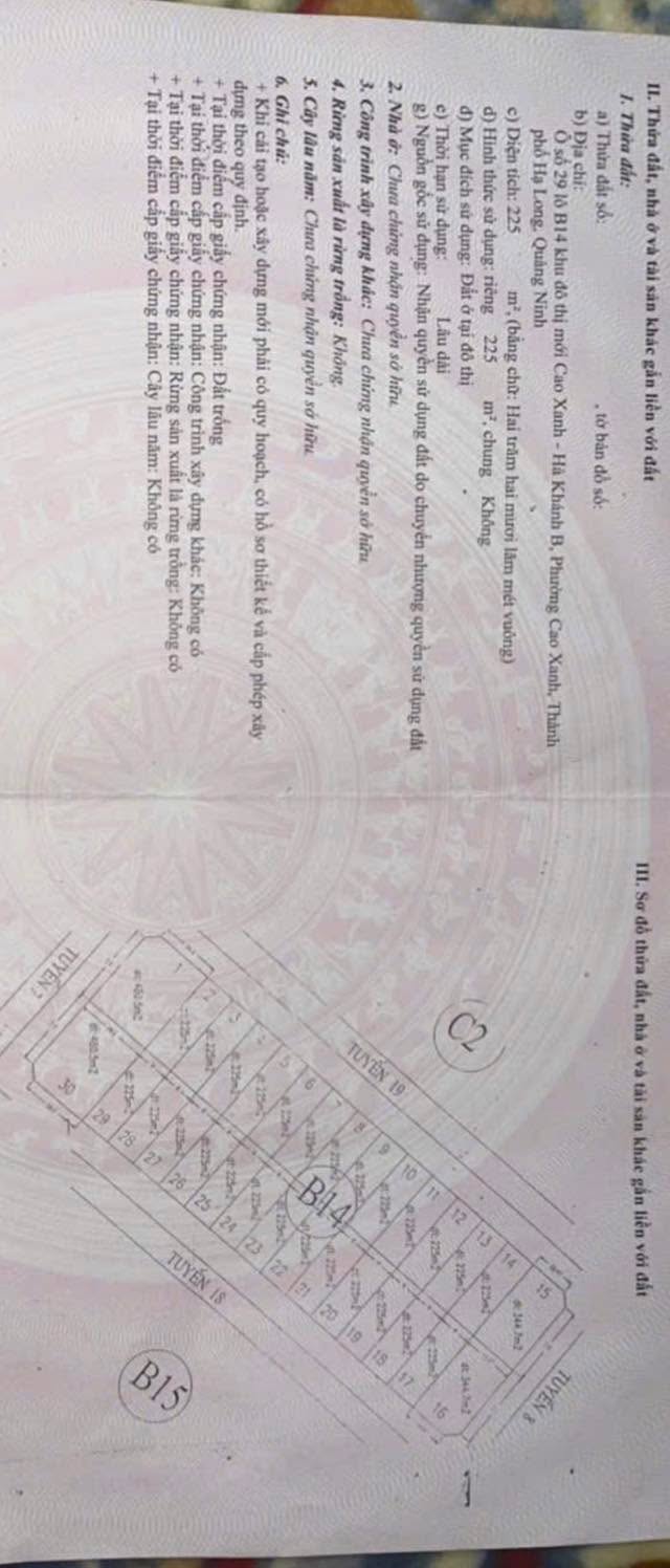 Đất nền biệt thự Cẩm Phả 225m² - Tiềm năng tăng giá vượt trội!