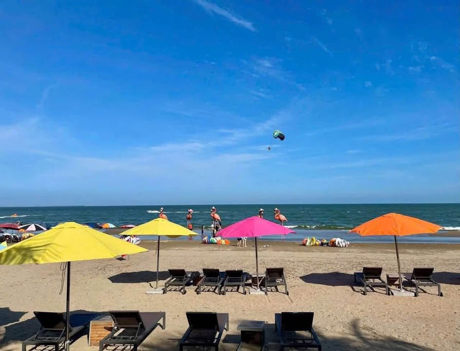 Căn hộ Flamingo Hải Tiến 36m² View biển tuyệt đẹp!