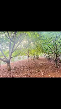 Đất Vườn Cát Tiên 700m² giá 1.9 tỷ - Nghỉ dưỡng lý tưởng!