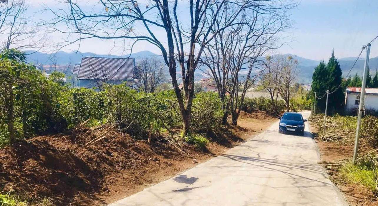 Đất nền Đạ Sar, Lạc Dương 251.8m² - Sổ đỏ chính chủ!