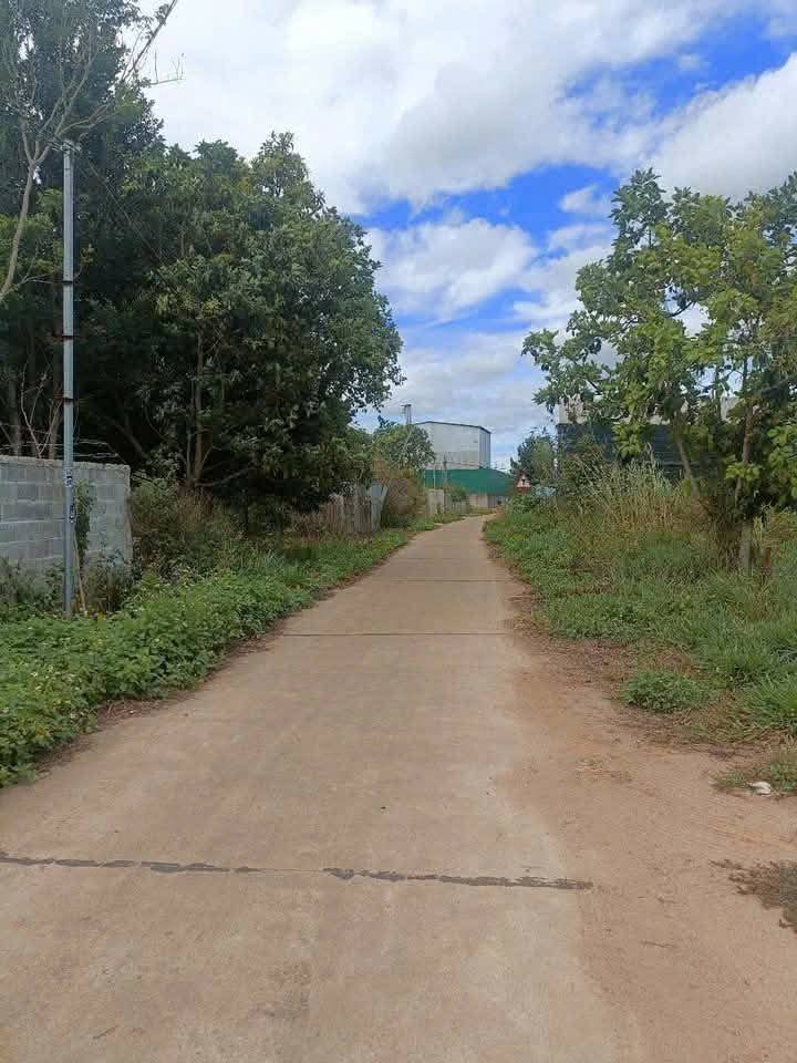 Đất Nền Đà Lạt 480m² - Đường Nhựa Đông Thanh, Sổ Hồng Sẵn Sàng