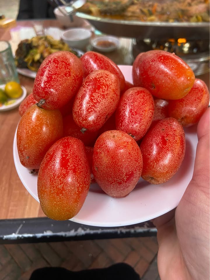 Nhà phố Ngọc Châu Hải Dương 6-10 triệu/tháng - Mặt tiền kinh doanh sầm uất!