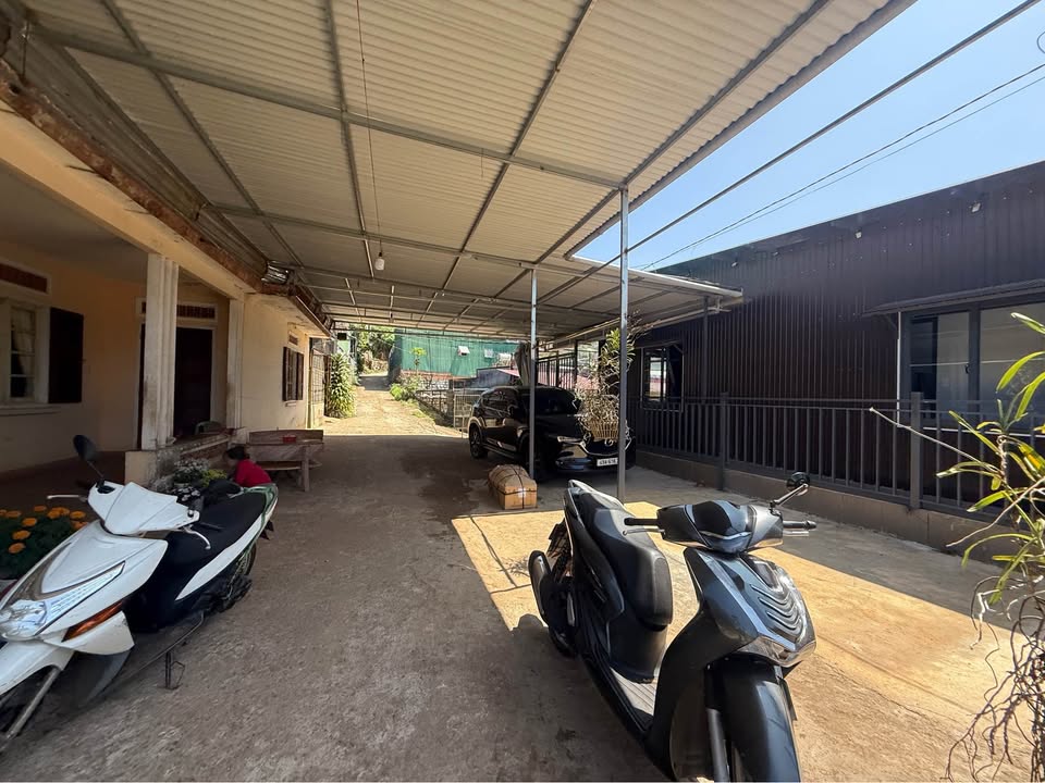 Đất nền Hoàng Văn Thụ Đà Lạt 301m² - Xây dựng tự do, view rừng thông!