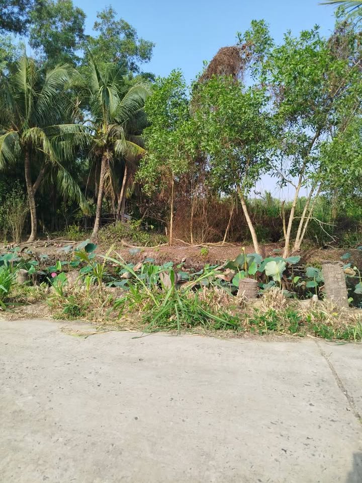 Đất nền 3670m² mặt tiền kênh, gần Chung cư Kỳ La, Trà Vinh - Giá 6 tỷ