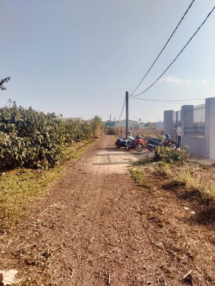 Đất Nền Pleiku 175m² Full Thổ Cư - Giá Chỉ 499 Triệu/Lô