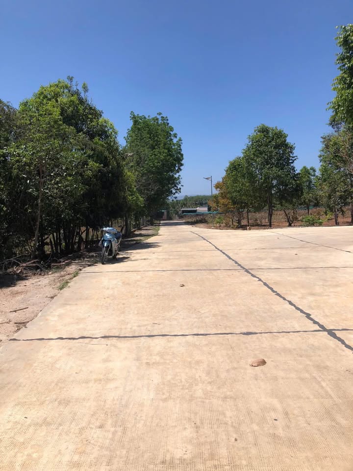 Đất nền Ia Khươl, Chư Păh 1250m² - Sổ đỏ chính chủ, tiềm năng