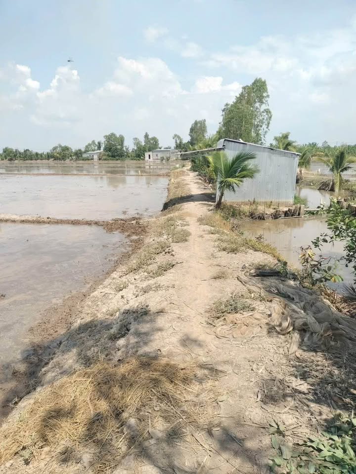 Bán Gấp 9000m² Đất Vườn Tân Hội Trung, Cao Lãnh - Mặt Tiền Kênh 30m