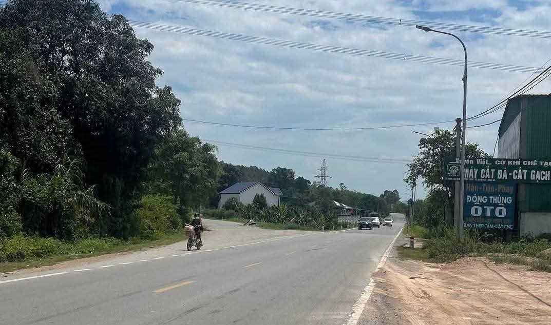 Bán đất Nam Đàn 261m² - Mặt tiền QL 15A, 200m² thổ cư, giá 2.6 tỷ