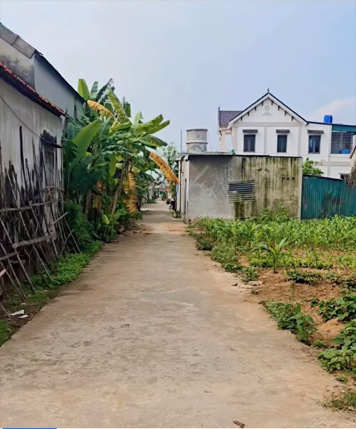 Đất Lô Góc 2 Mặt Tiền Diễn Hùng, Nghệ An - 198m² Giá Tốt