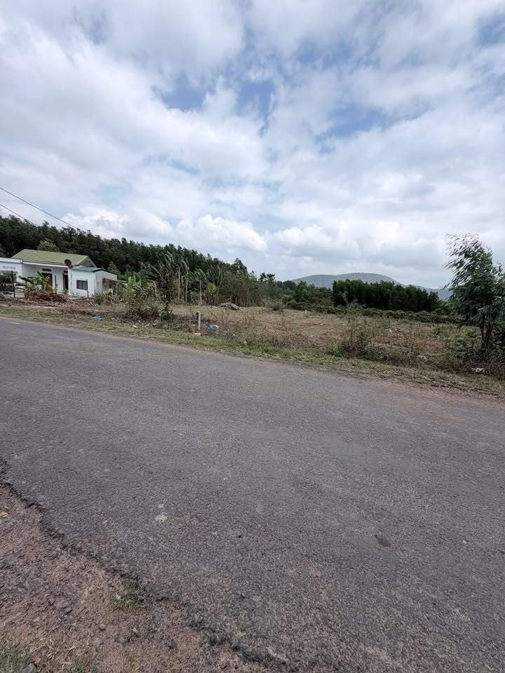 Đất nền 2400m² mặt tiền QL 20m, Krông Pắc - Sẵn sàng xây dựng!