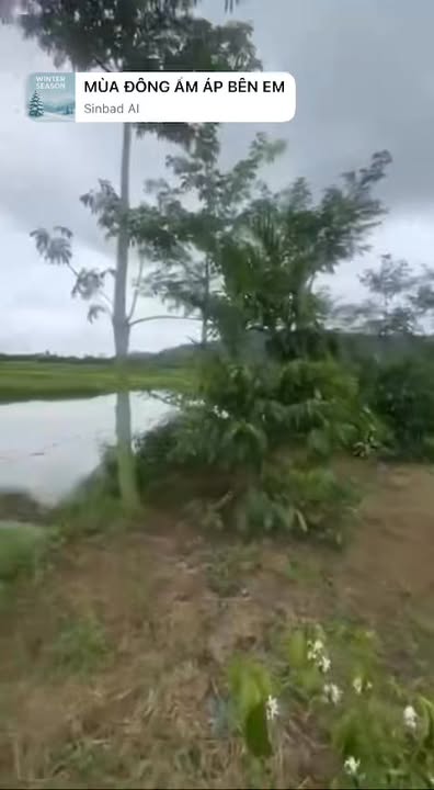 Đất nền Krông Pắc 1260m² giá 779 triệu - Tiềm năng sinh lời cao!