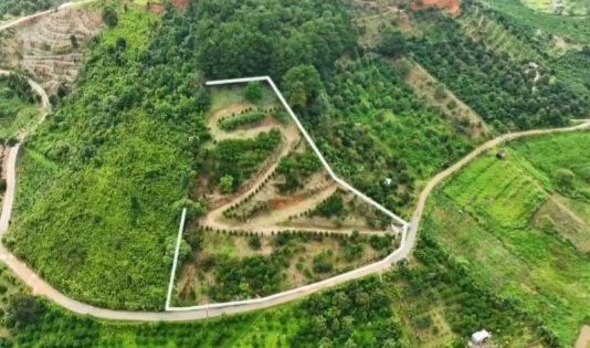 Đất nền Bảo Lộc 10.000m² mặt tiền Mai Trúc Loan - Sổ đỏ sẵn sàng