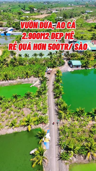 Đất Vườn Nghỉ Dưỡng View Hồ 2900m² Sông Thao, Trảng Bom - Giá 1.55 Tỷ