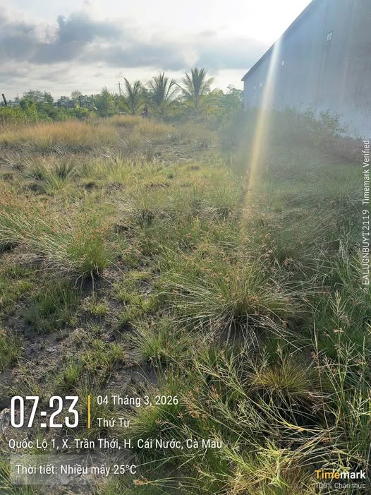 Đất nền Cái Nước 396m² - Mặt tiền QL1A, tiềm năng tăng giá!