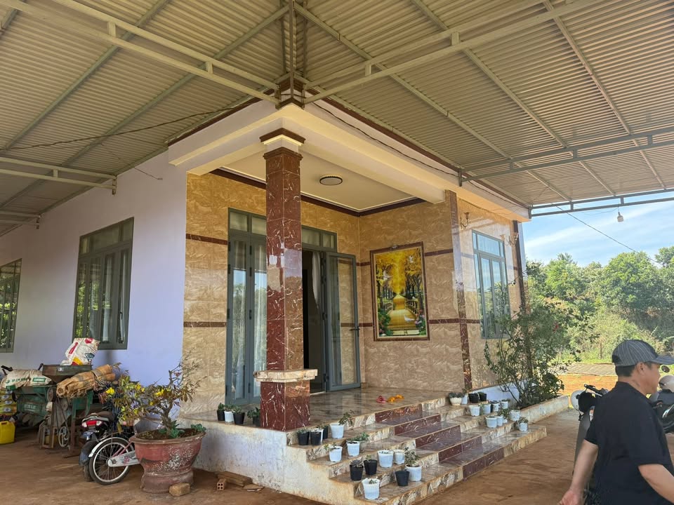 Đất vườn 2.6ha Nâm N'Jang, Đắk Song - Cơ hội đầu tư dài hạn!