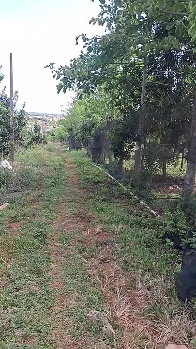 Đất Vườn Tuy Đức 14.000m² - Mặt Tiền Đường Nhựa, Giá Đầu Tư 1.95 Tỷ