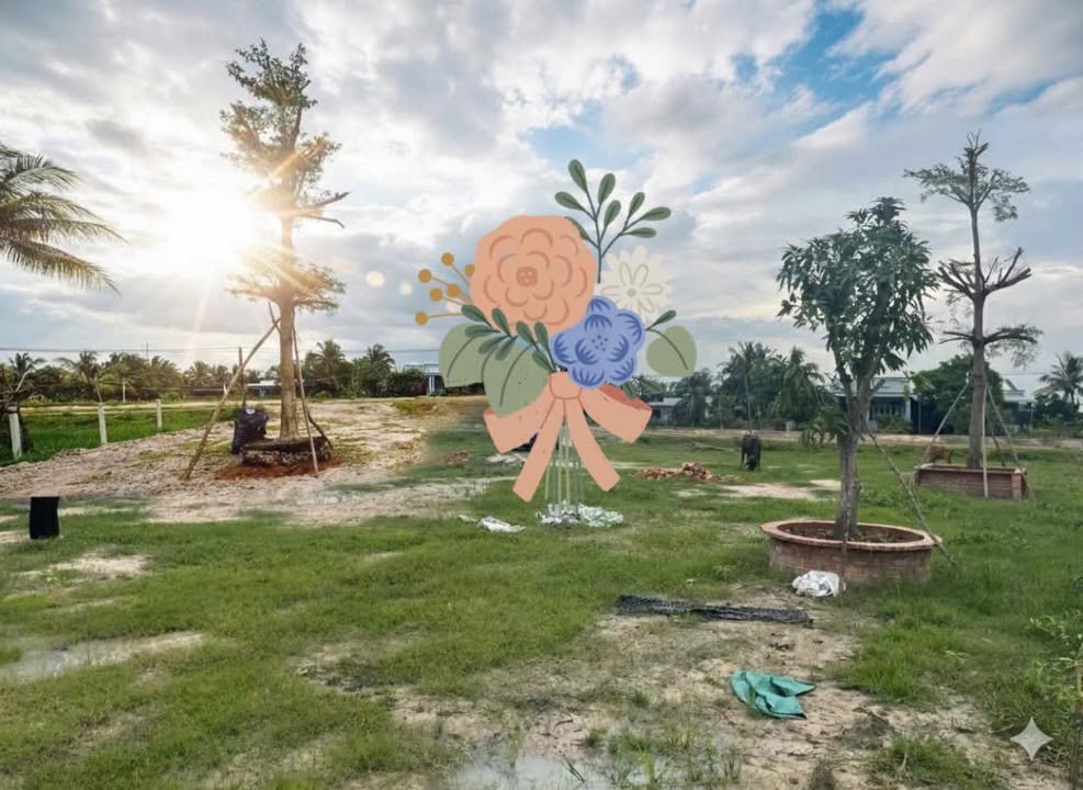 Farm Nghỉ Dưỡng 3000m² - Xã Thái Bình, Tây Ninh - Giá 850 Triệu