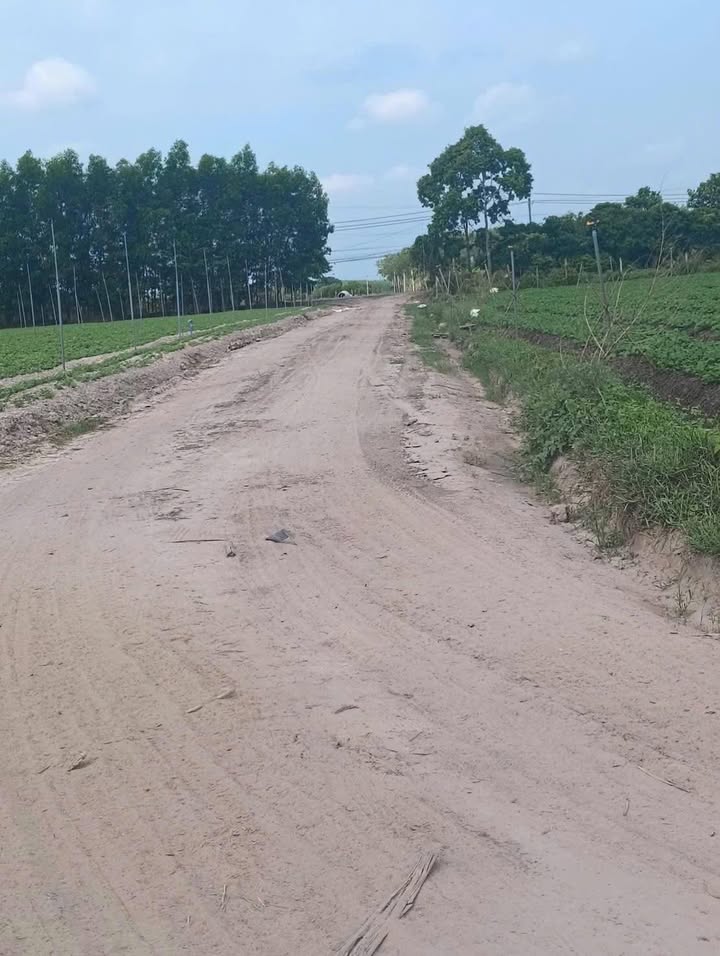 Đất nền Tân Phú 1080m² - Sổ đỏ chính chủ!