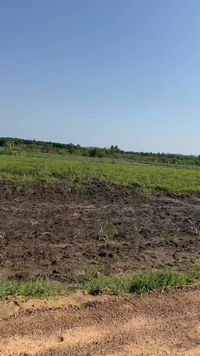 Đất Nền Tân Bình, Tây Ninh 10.000m² - Sổ Đỏ Chính Chủ