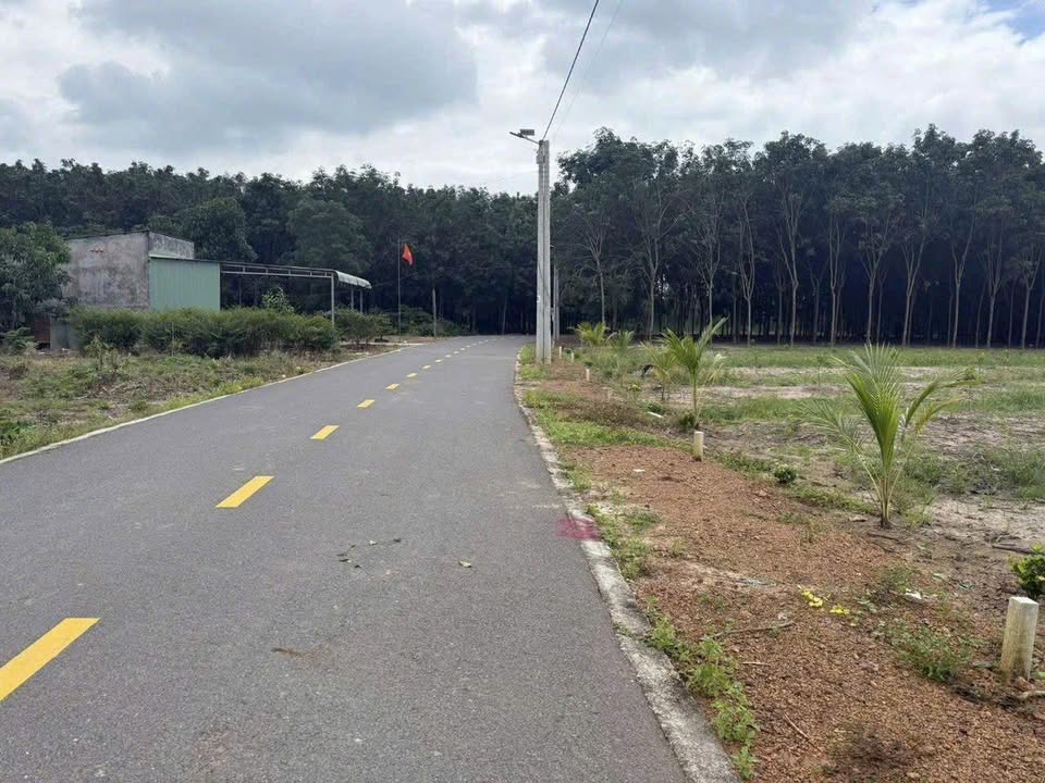 Đất thổ cư Đồng Phú, Bình Phước 200m² - Sổ sẵn, giá chỉ 199 triệu