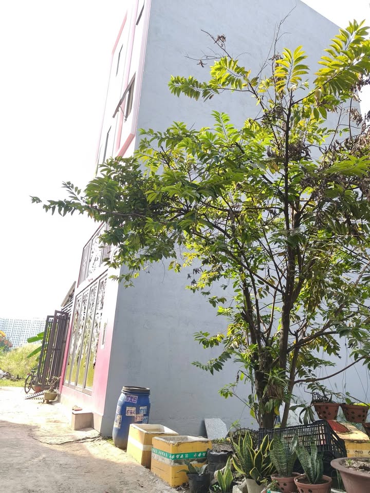 Nhà Phố Bình Chiểu Thủ Đức 50m² - 3.19 Tỷ, Xây Dựng Full