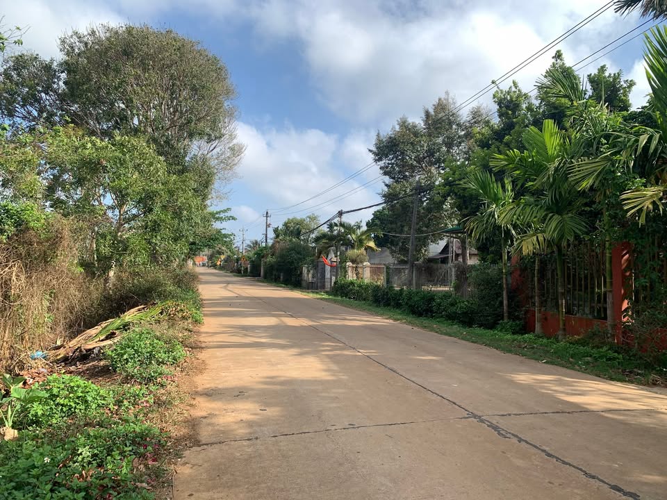 Đất Mặt Tiền Đường 23B Tân An, BMT - 200m² Giá Tốt Đầu Tư