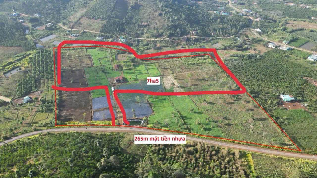 Đất Farmstay Đức Trọng 4.6ha - Sổ hồng chính chủ, giá đầu tư 270tr/sào