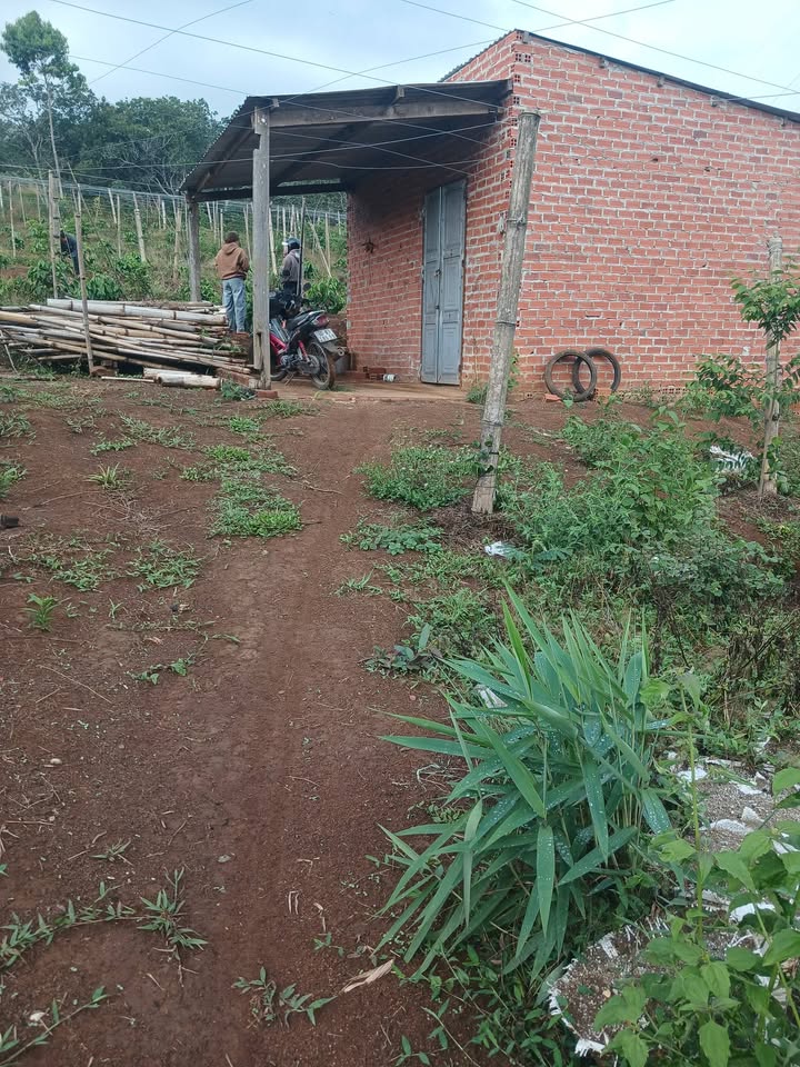 Đất vườn Tuy Đức Đắk Nông 1.7 ha - Sổ hồng rõ ràng!