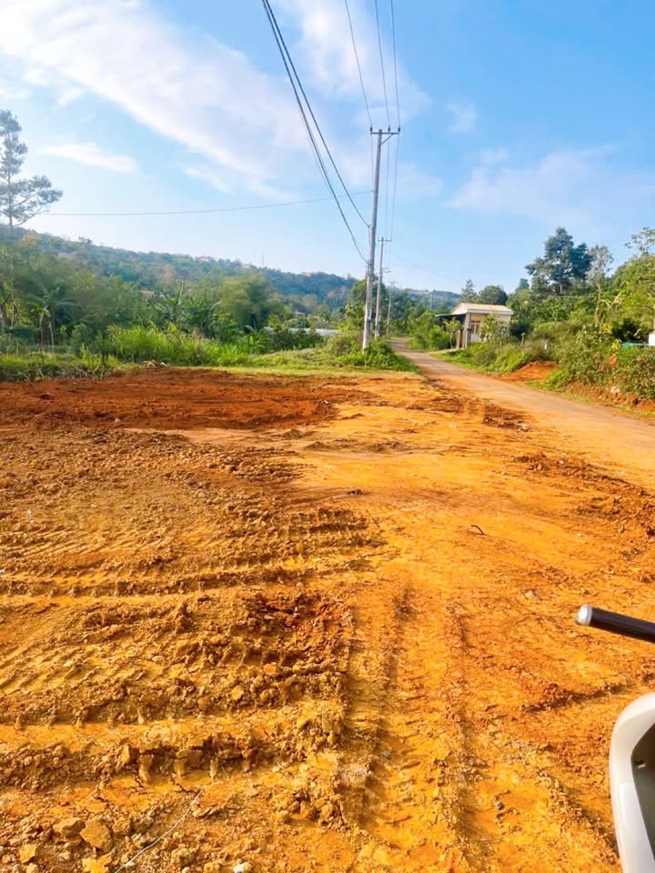 Đất Vàng Nam Kỳ Khởi Nghĩa, Gia Nghĩa 1890m² - Sổ Đỏ Sẵn Sàng Lên Thổ Cư