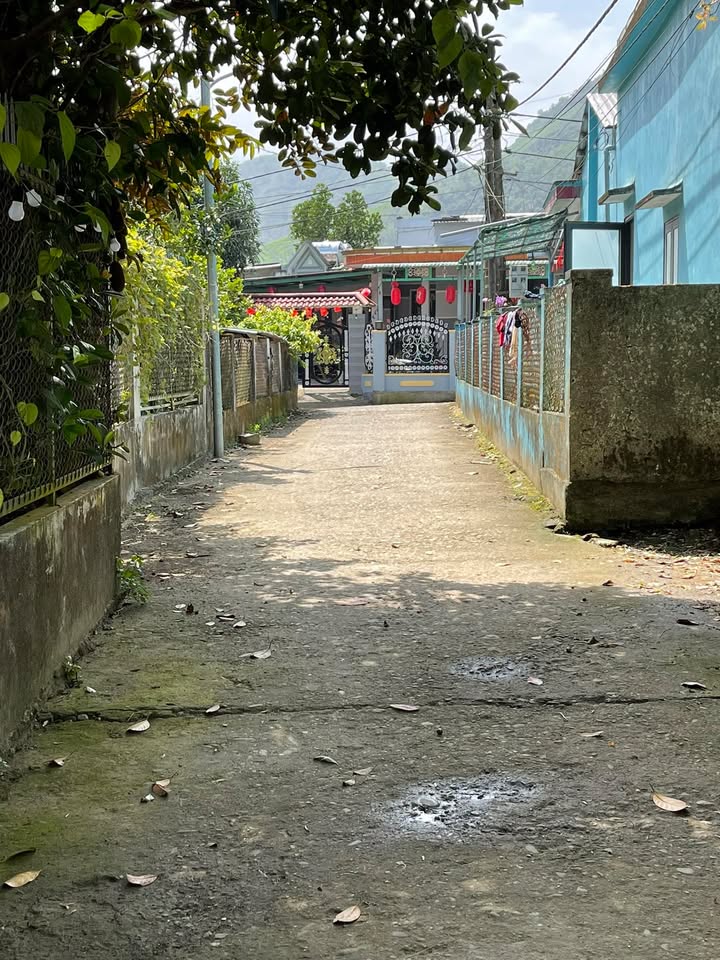 Bán Đất Hoàng Văn Thái, Tam Kỳ 127m² - Cơ Hội Đầu Tư Sinh Lời