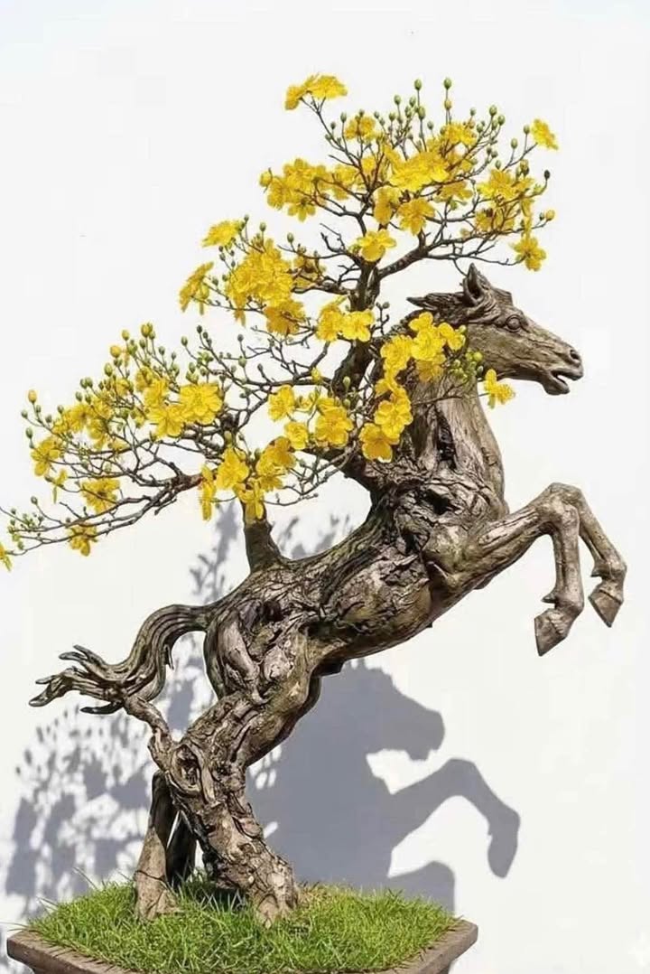 Đất Vàng Vĩnh Điện - Quảng Nam: 200m² View Lúa Mát, Ngang 8m, Giá 1.3 Tỷ