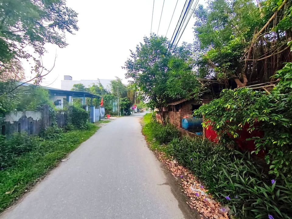 Đất 100m² MT Lưu Quang Vũ, Đà Nẵng - Sổ Đỏ Chính Chủ 4 Tỷ